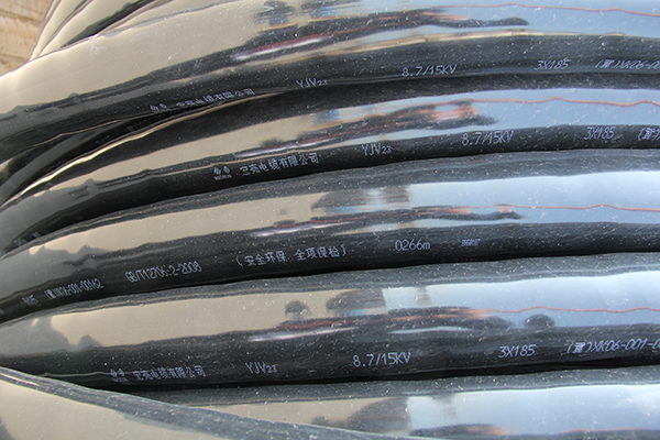 1595321209411551.jpg IMG_1294.JPG